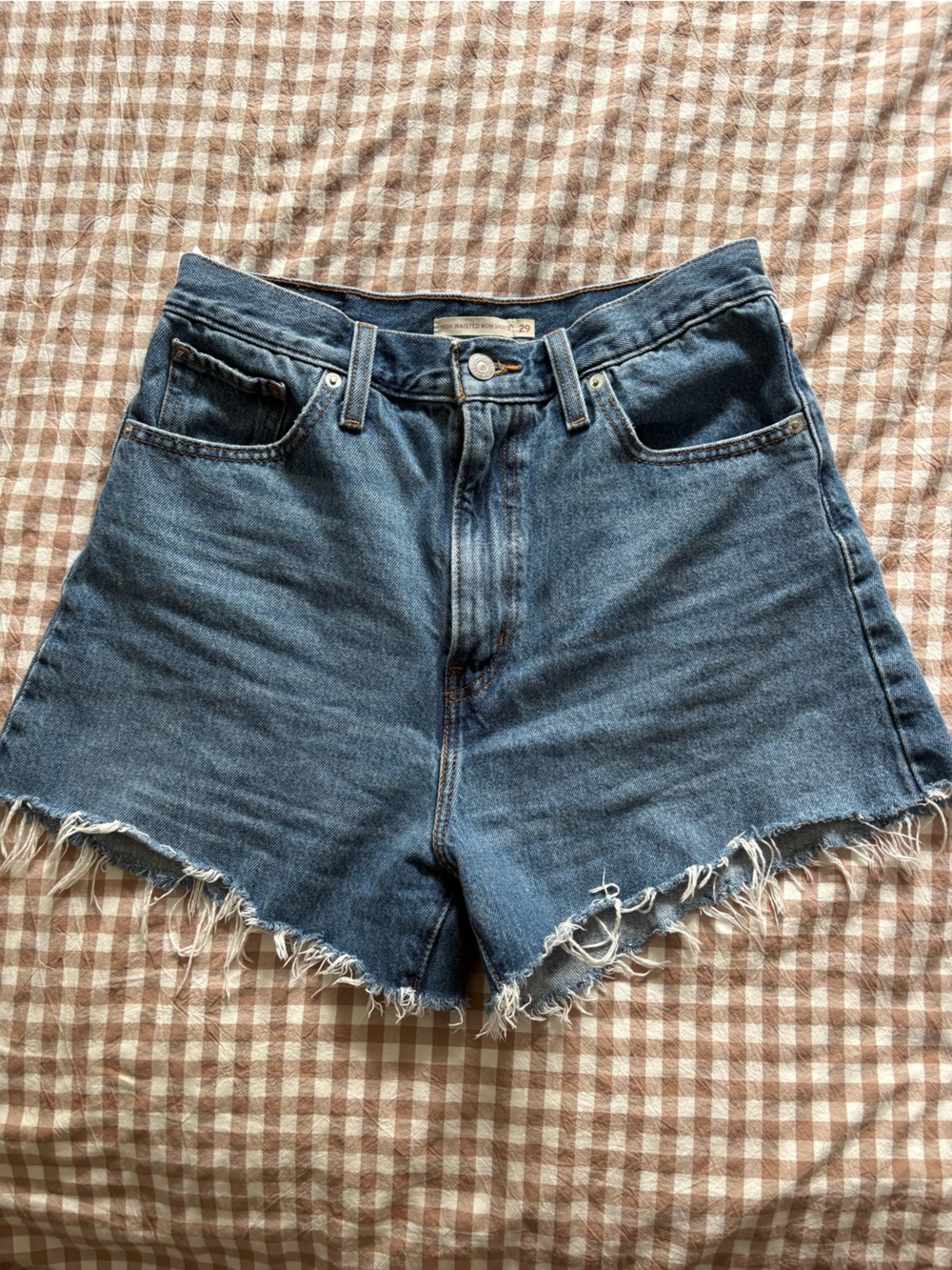Frayed Hem Blue Women's Levi Shorts